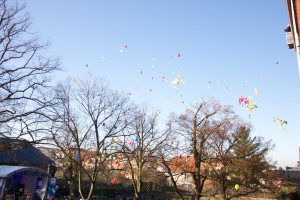 NEW-COLOR_IMG_4054    