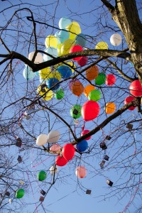NEW-COLOR_IMG_4110    