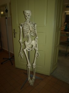 OffeneTür910 (29)